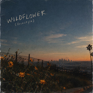WILDFLOWER by Aze
