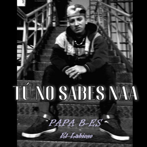 Tu No Sabes Naa by Papá BIG ES