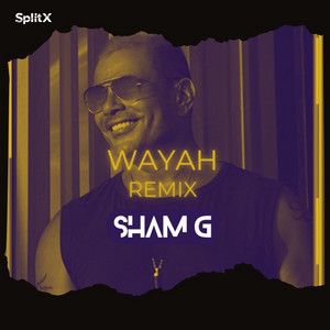 Amr Diab - Wayah (Sham G Remix) by Sham G