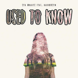 Used To Know by Whales, Halvorsen
