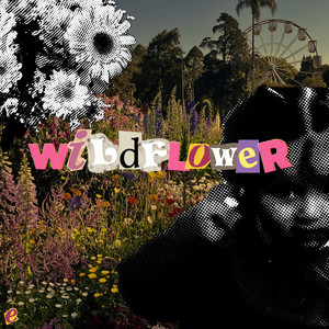 Elany Alvarado - WILDFLOWER