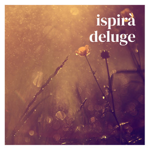 deluge