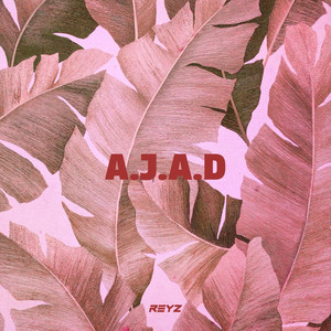 A.J.A.D - Remix Instrumental