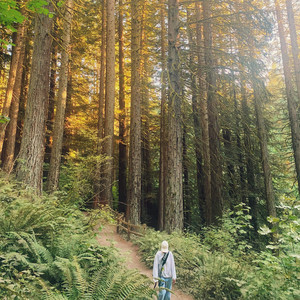 Forest Days by Vannorte