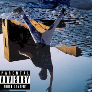 Transparent cover