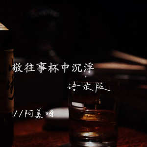 阿美呀 - 敬往事杯中沉浮 (语录版)