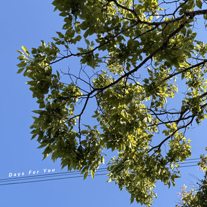 小田桐仁義 | Spotify