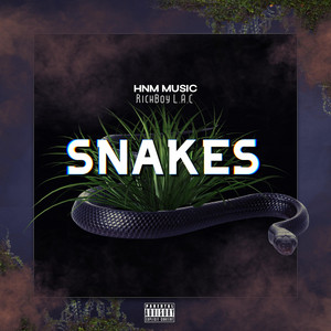 Snakes by HNM Music, L.A.C