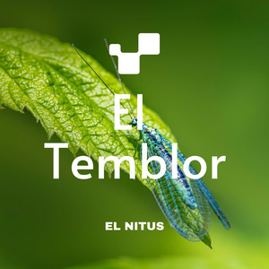 el temblor by EL NITUS