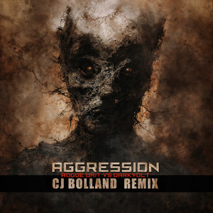 Aggression (CJ Bolland Remix) cover art