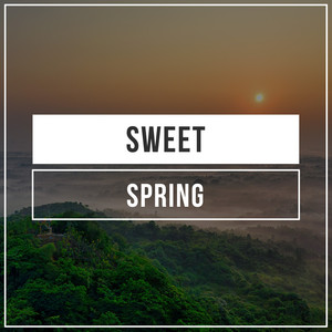 # 1 Album: Sweet Spring album