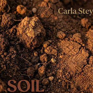 Soil by Carla Stey