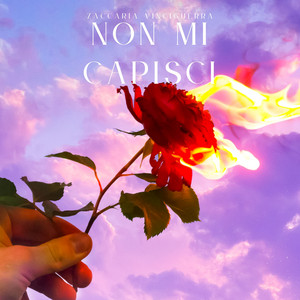 Non Mi Capisci by Zaccaria Vinciguerra