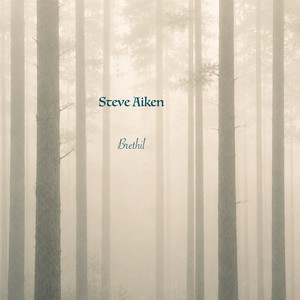 Brethil by Steve Aiken