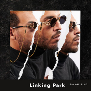 Savage Plug - Linking Park