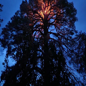 Head First artist photo