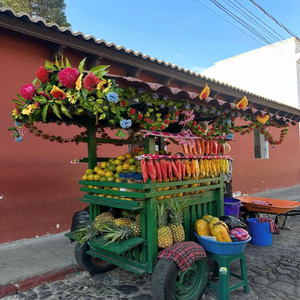 El Frutero by DJLACOMPOTA