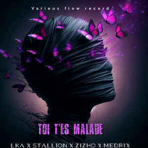 Zizho, stallion & lka - TOI T'ES MALADE (feat. medrix)