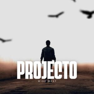 Wide West - PROJECTO