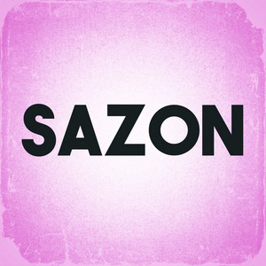 Sazon by Ariel US