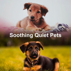 Soothing Quiet Pets