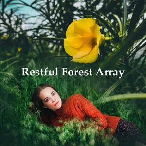 Restful Forest Array