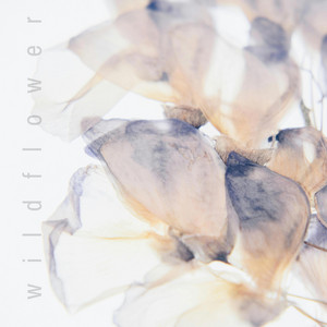 Wildflower by LUJO
