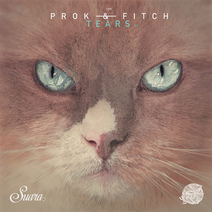 Tears by Prok & Fitch