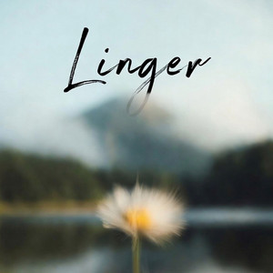 I Was Made to Find You by Olivier Gronier, Virgil Hilts