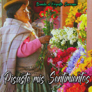 Pisaste Mis Sentimientos by Banda el Orgullo Serrano