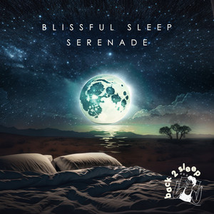 Blissful Sleep Serenade album