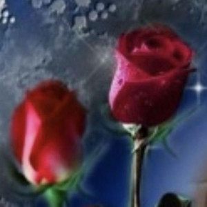 basket of roses by Aras Moon, imnotvrycreative