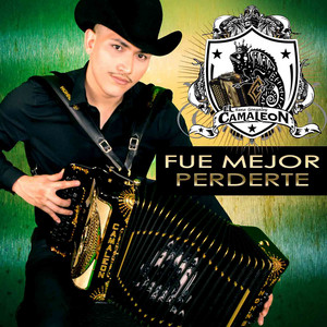 Fué Mejor Perderte