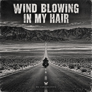 Wind Blowing In My Hair by BC Collective
