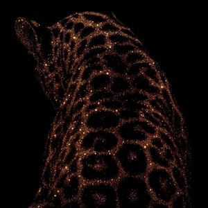 Noir Izzy - light years