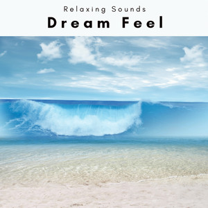1 Dream Feel album