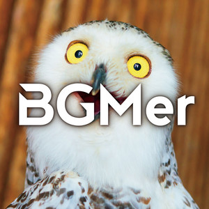 BGMer - やらかしました