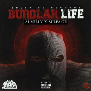 Burglar Life