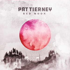 The Light of Day by Pat Tierney
