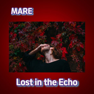 Lost in the Echo by MARE 마레