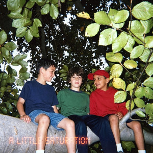 A Little Saturation by J Cru, Michael Calvillo