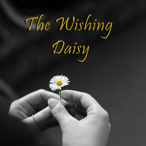 The Wishing Daisy by Lofi Lonely