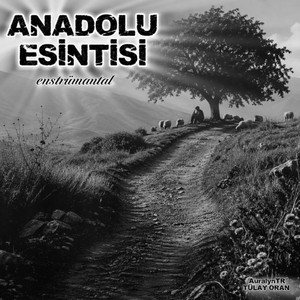 ANADOLU ESİNTİSİ by TÜLAY ORAN