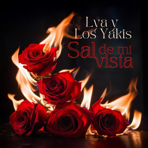 Lya & Los Yakis - Sal de Mi Vista