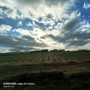 DADII-B - Nabong ne Bokis