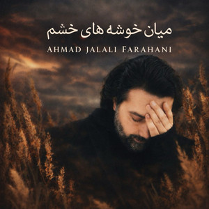 میانِ خوشه های خشم by Ahmad Jalali Farahani