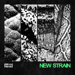 New Strain by DELLA NOVA