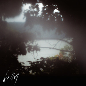 Tortoise Shell by Corey Gordon, Nathanial Young