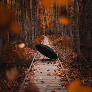 Обкладинка: My Autumn