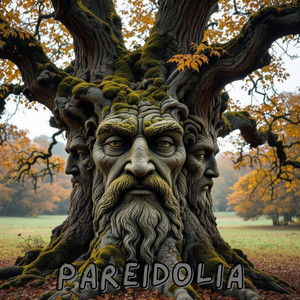 Pareidolia by NASTY LITTLE GREEN MAN